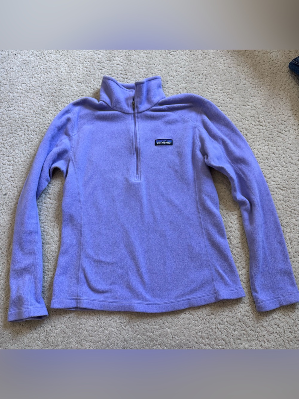 Patagonia Women’s Micro D Fleece Quarter Zip Pullover Purple XS
